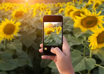 Cep Telefonlarıyla Profesyonel Fotoğraf Çekmenin Yolları