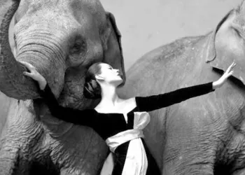 Dünyanın En Pahalı 20 Fotoğrafı