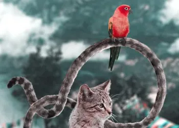 Hayvanlar Alemine Bakışınızı Değiştirecek 20 Photoshop Çalışması