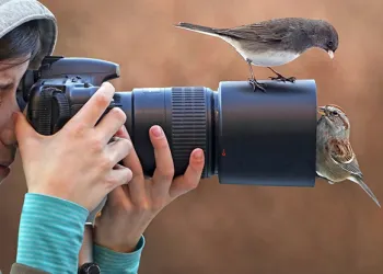 Kuş Fotoğrafı Çekmenin 5 Keyifli Yöntemi