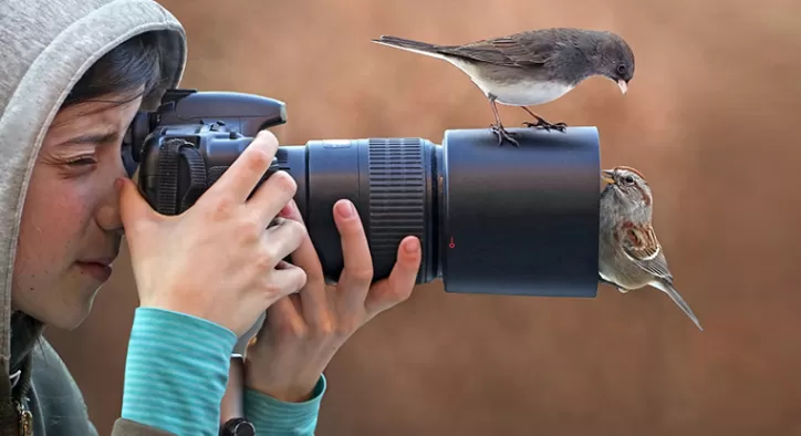 Kuş Fotoğrafı Çekmenin 5 Keyifli Yöntemi