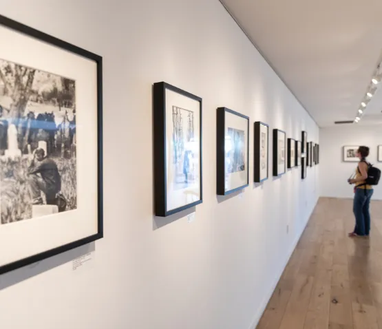 Fotograf Sergileri 50