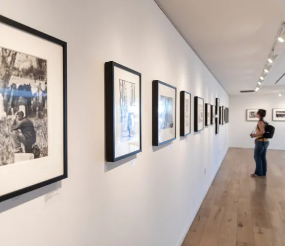 Fotograf Sergileri 8