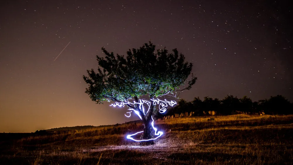 Fotografcilik Workshop 32