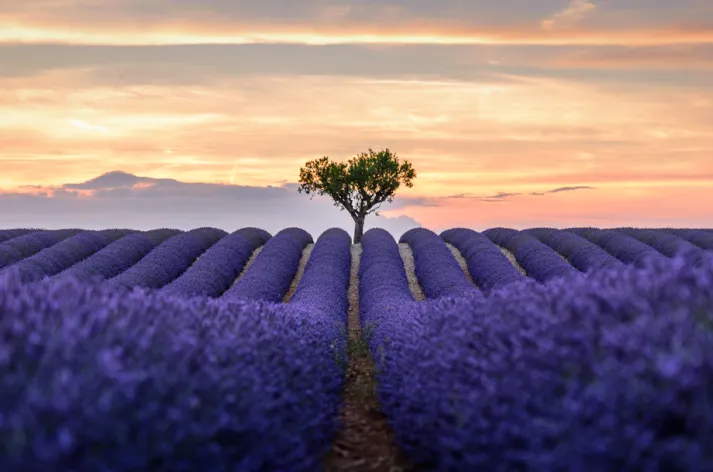 Fotografta Kompozisyon Egitimi