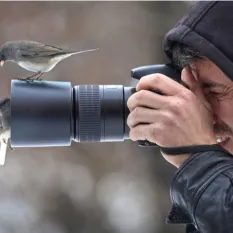 Kuş Fotoğrafı Çekimi Workshop