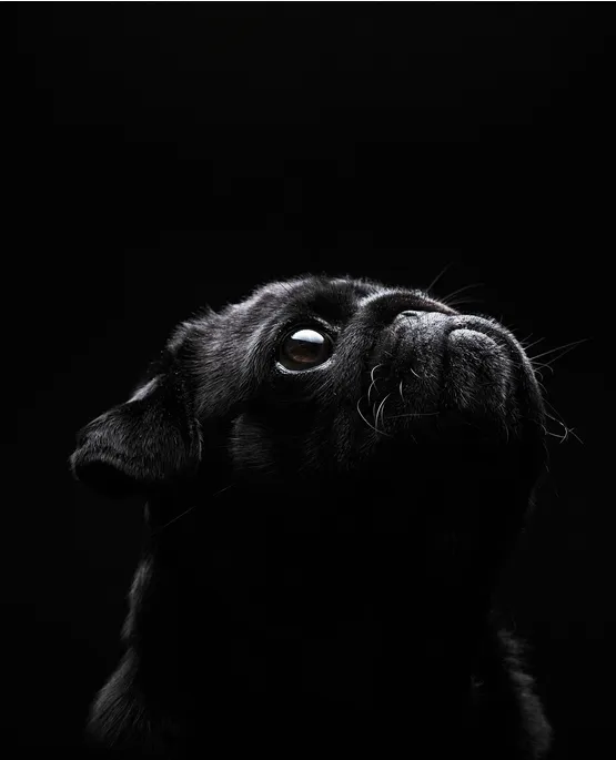 Low Key Cekim Kursu 1