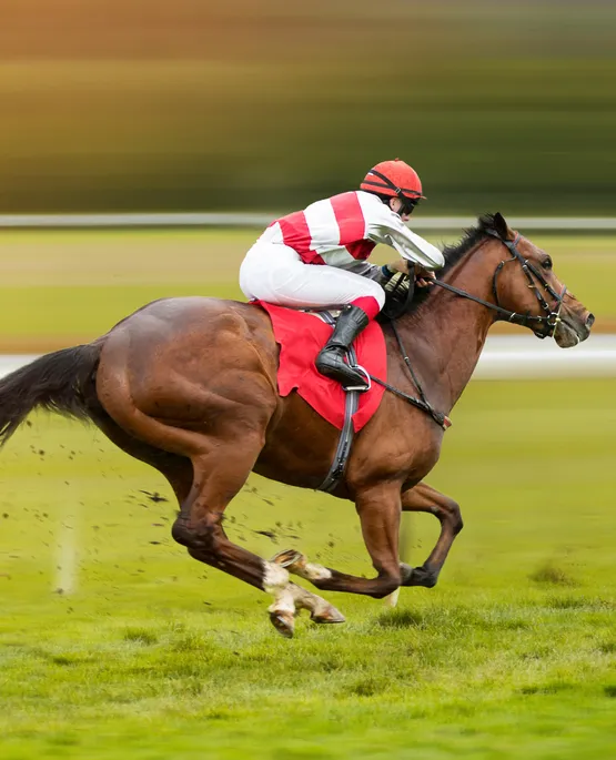 Spor Fotografciligi Dersi