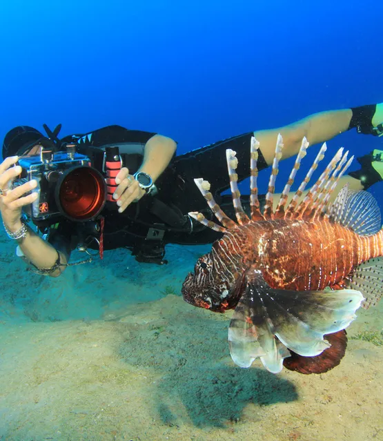 Sualti Fotografciligi Egitimi