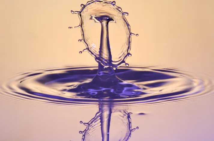 Yuksek Enstantane Cekim Teknigi