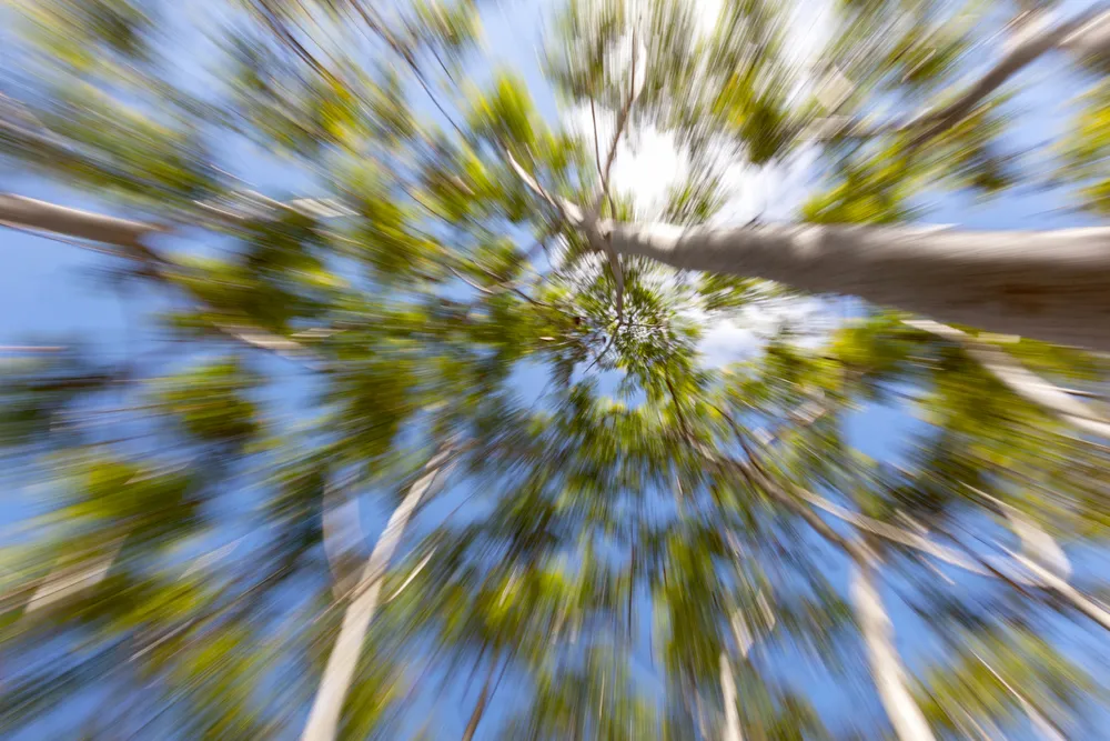 Zoom In Zoom Out Fotografcilik Egitimi