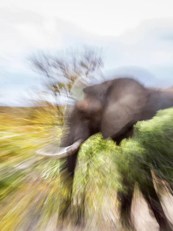 Zoom In Zoom Out Fotografcilik Kursu