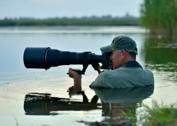 Belgesel Fotoğrafçılığı Nedir?