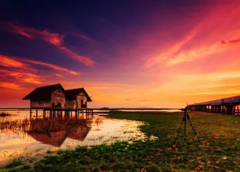 Fotoğrafta Doygunluk Nedir?