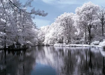 Kızılötesi Fotoğraf Nasıl Çekilir?