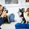 Köpek Fotoğrafı Nasıl Çekilir?