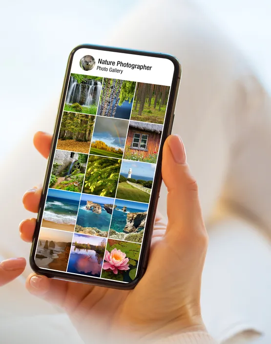 Mesleki Gelisim Kurslari