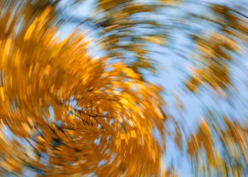 Vertigo Efekti (Hitchcock Zoom’u) Nedir?