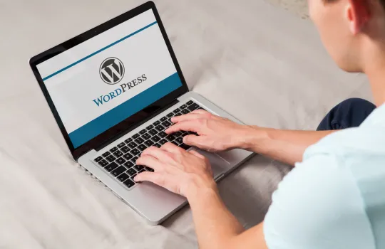 Ozel Wordpress Egitimi 1