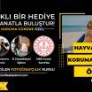 Hayvanları Koruma Günü’ne Özel %50 İndirim!