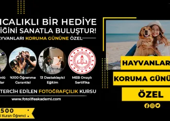 Hayvanları Koruma Günü’ne Özel %50 İndirim!