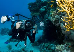 Sualti Fotograf Cekimi Workshop