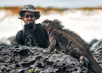 Belgesel Fotoğrafçılığı Nedir? - Tarihi ve Bugünü