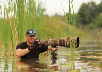 Vahşi Yaşam Fotoğrafçılığı