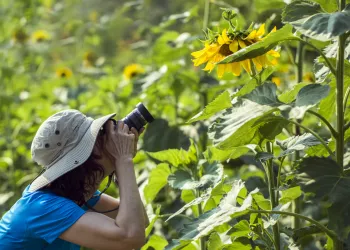 Fotoğrafçılık İçin Hangi Bölümü Seçmeliyim?