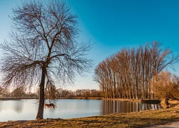 Manzara Resmi Nasıl Çekilir?