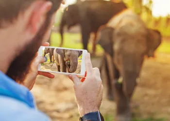 iPhone Fotoğraf Düzenleme Ayarları