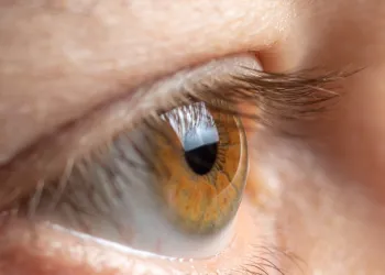 iPhone Kamerasıyla Makro Fotoğraf Çekme