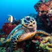 National Geographic Seyahat Fotoğrafları Yarışmasının Kazananları