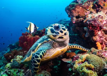 National Geographic Seyahat Fotoğrafları Yarışmasının Kazananları